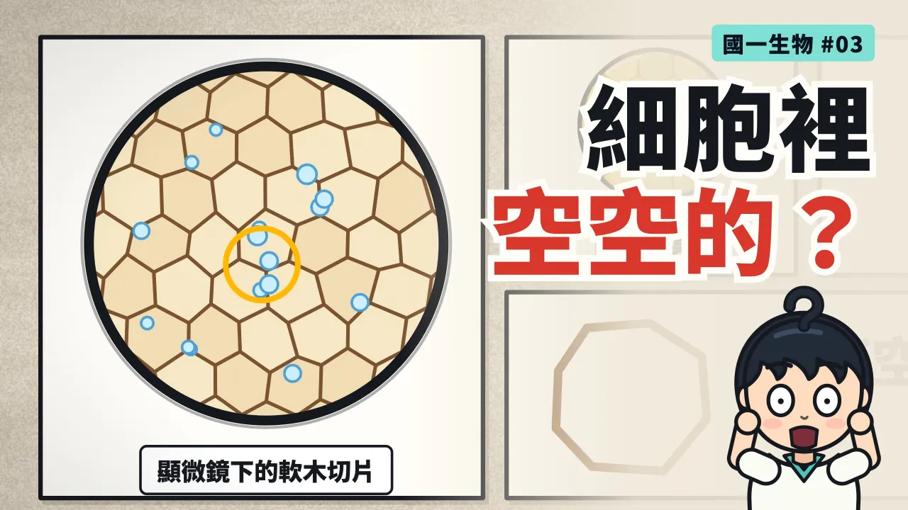 第 3 集:虎克看到的「細胞」為什麼是空的?