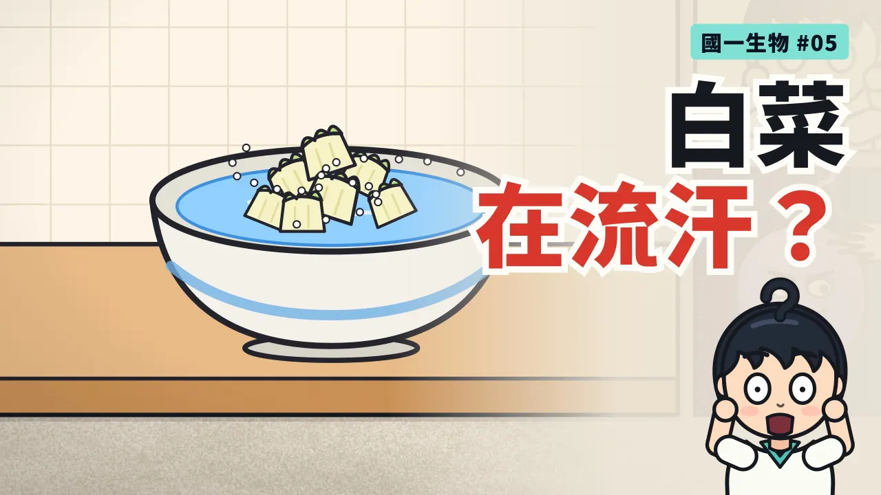 第 5 集:醃白菜為什麼會出水?