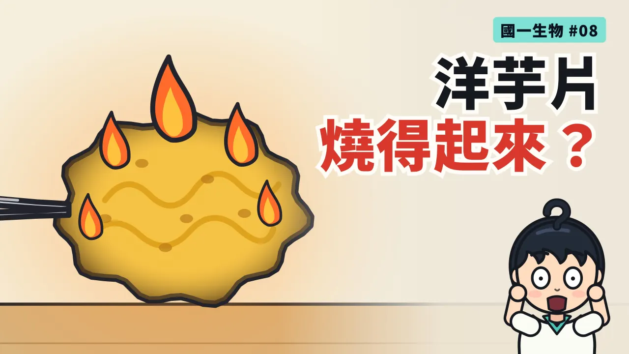 第 8 集:洋芋片為什麼燒得起來?