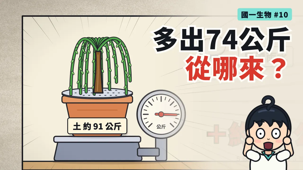第 10 集:一棵樹的重量從哪裡來?