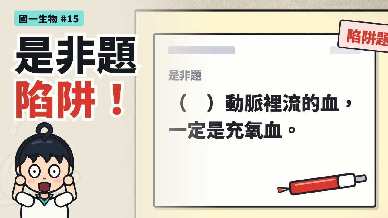 第 15 集:動脈裡流的都是充氧血嗎?