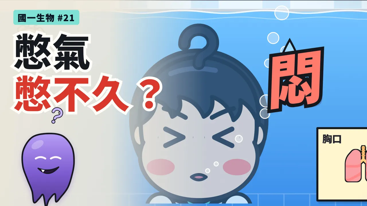 第 21 集:憋氣為什麼憋不久?