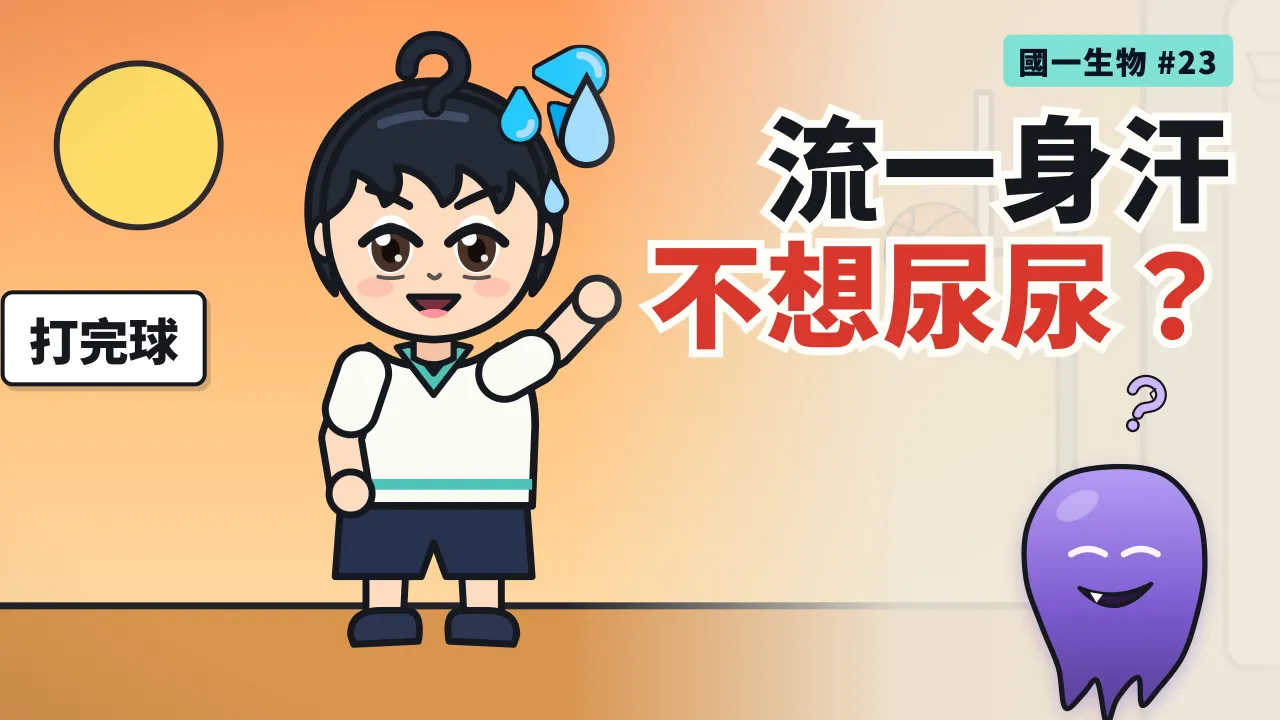 第 23 集:流了一身汗,為什麼不太想尿尿?