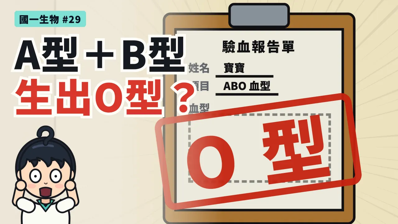 第 29 集:A 型爸爸+B 型媽媽,會生出 O 型嗎?