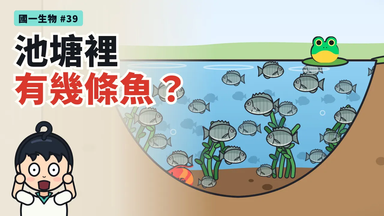 第 39 集:不能把魚全部撈起來,池塘裡有幾條魚?