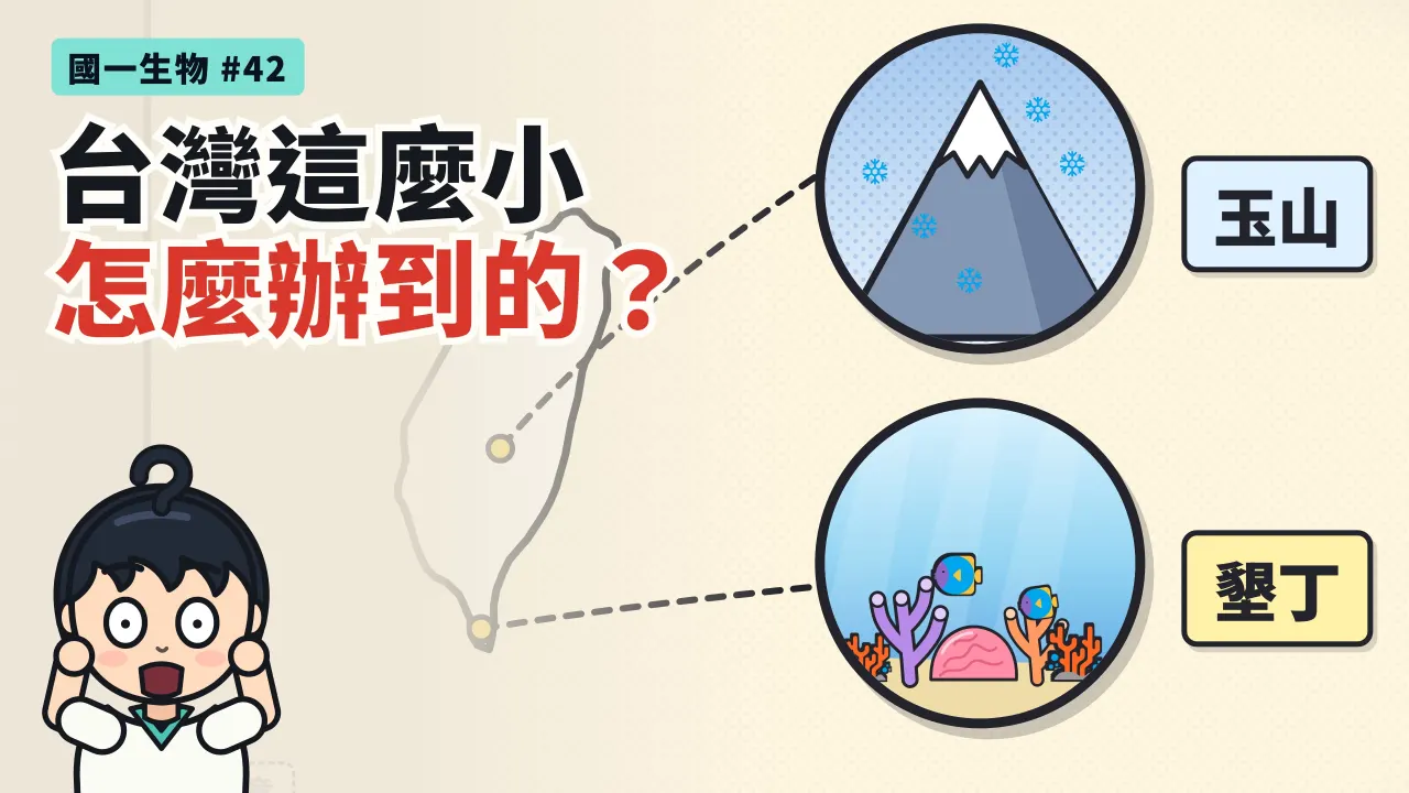 第 42 集:從珊瑚礁到玉山頂,台灣怎麼裝得下這麼多生態系?