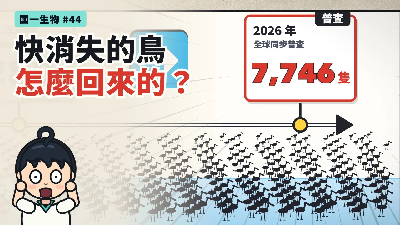 第 44 集:黑面琵鷺從 288 隻到 7,746 隻,是怎麼回來的?