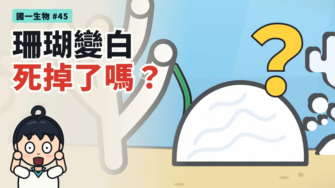 第 45 集:地球變暖,墾丁的珊瑚為什麼會變白?