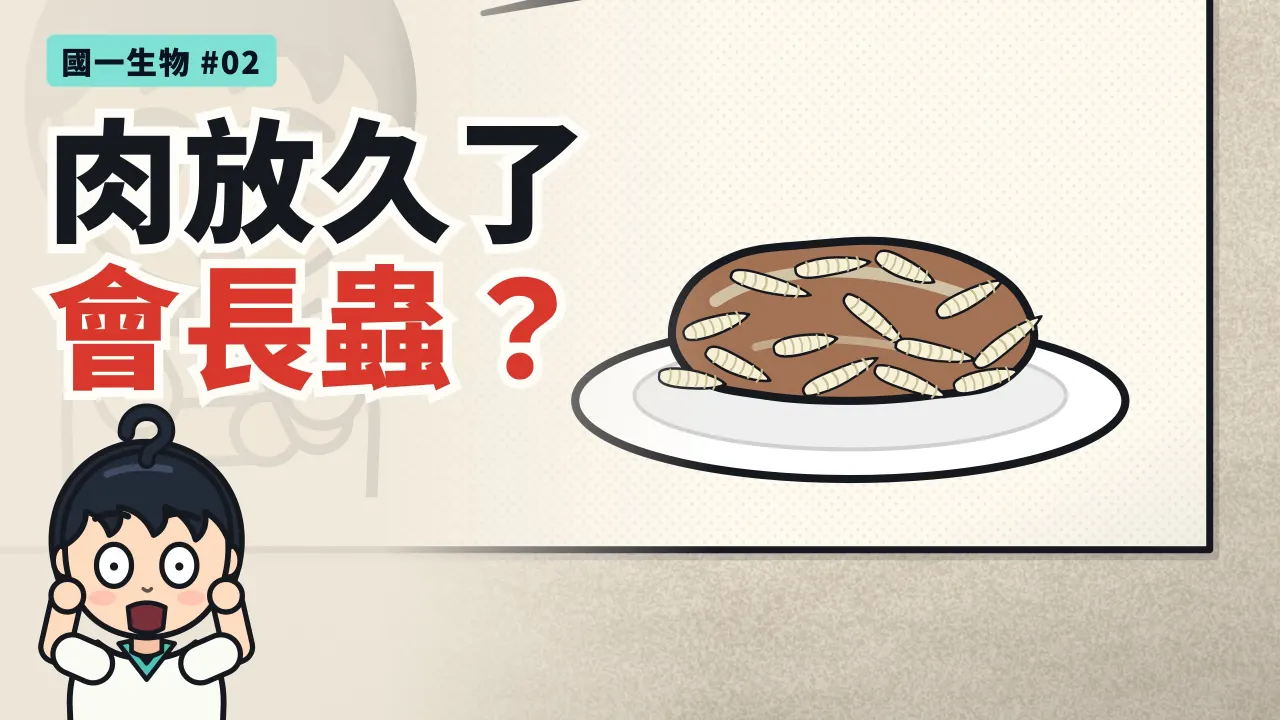 第 2 集：肉放久了會自己長出蛆嗎？