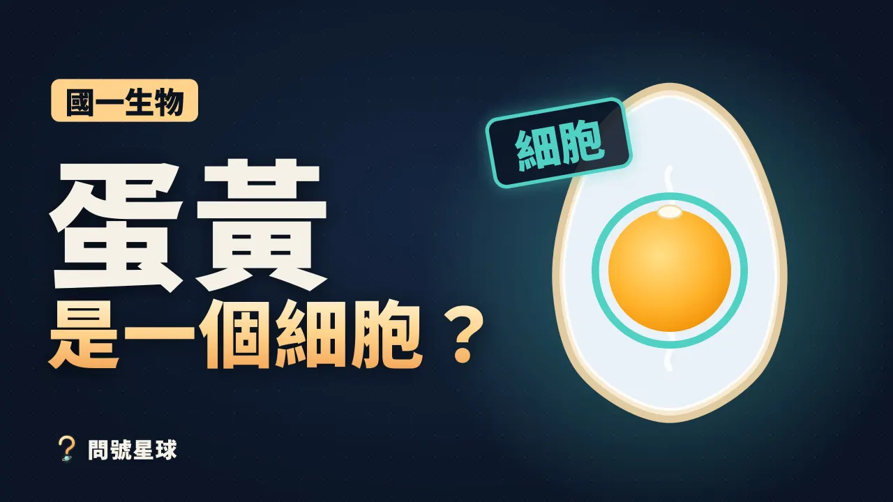 第 6 集：細胞、組織、器官差在哪？