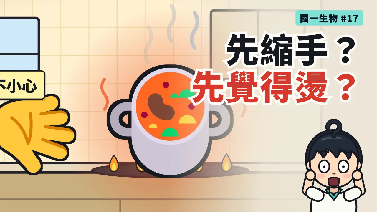 第 17 集:摸到燙鍋子,先縮手還是先覺得燙?