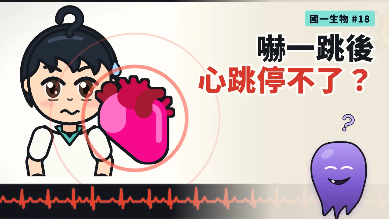 第 18 集：被嚇一跳後，心跳為什麼停不下來？