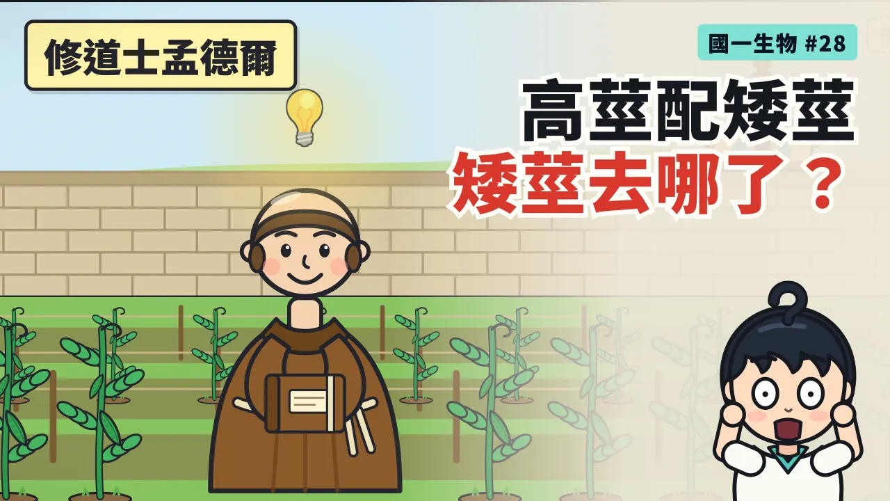 第 28 集:高莖配矮莖,矮莖躲去哪了?