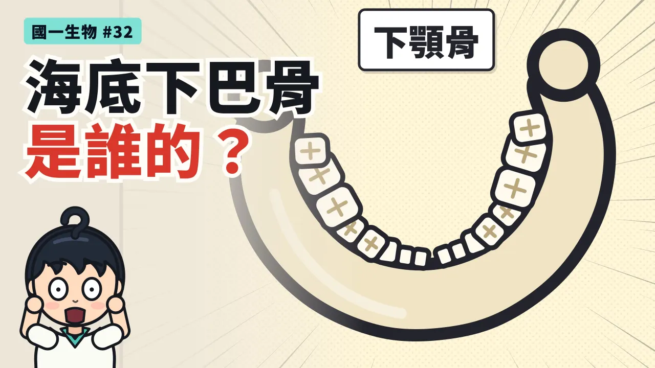 第 32 集：澎湖海底的下巴骨是誰的？