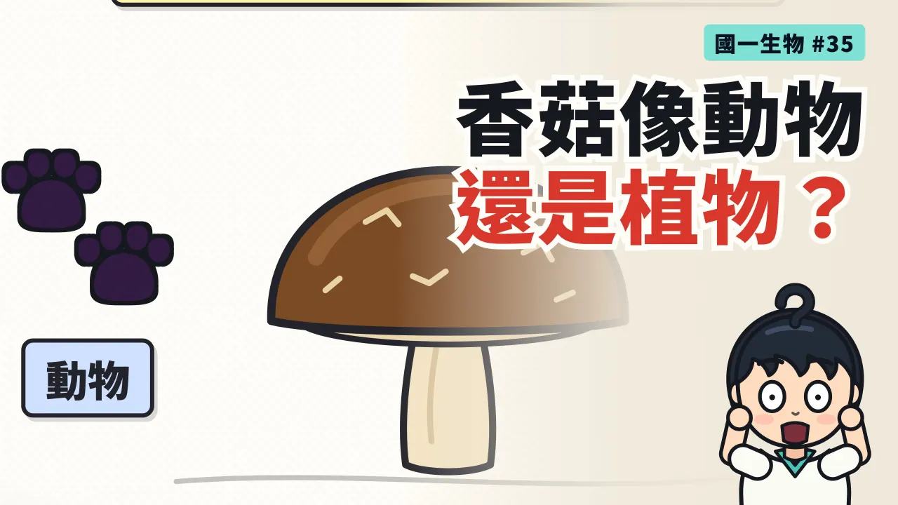 第 35 集:香菇比較像動物還是植物?