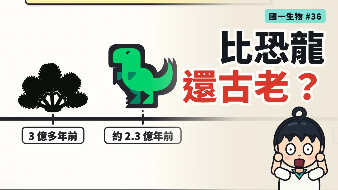 第 36 集：比恐龍還古老的植物，現在還長在山路邊？