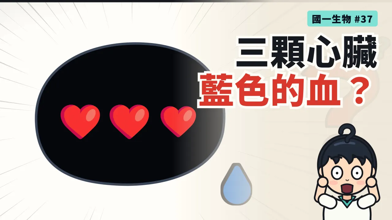 第 37 集：三顆心臟、藍色的血，牠到底是誰？